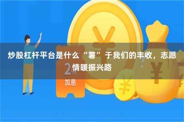 炒股杠杆平台是什么 “薯” 于我们的丰收，志愿情暖振兴路