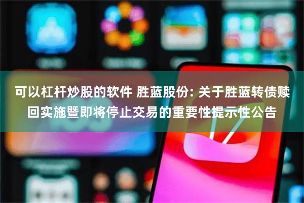 可以杠杆炒股的软件 胜蓝股份: 关于胜蓝转债赎回实施暨即将停止交易的重要性提示性公告