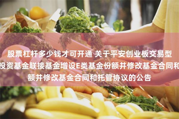 股票杠杆多少钱才可开通 关于平安创业板交易型开放式指数证券投资基金联接基金增设E类基金份额并修改基金合同和托管协议的公告