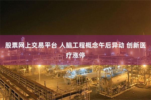 股票网上交易平台 人脑工程概念午后异动 创新医疗涨停