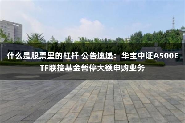 什么是股票里的杠杆 公告速递：华宝中证A500ETF联接基金暂停大额申购业务