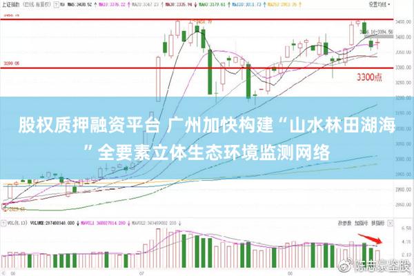 股权质押融资平台 广州加快构建“山水林田湖海”全要素立体生态环境监测网络