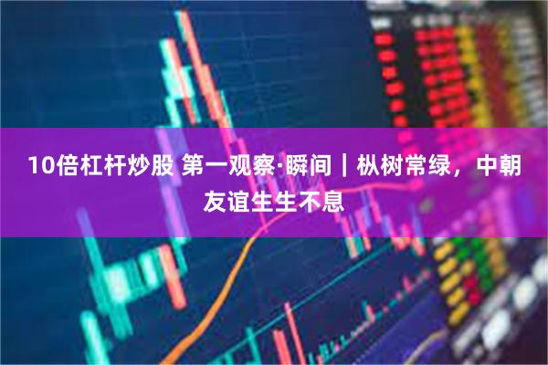 10倍杠杆炒股 第一观察·瞬间｜枞树常绿，中朝友谊生生不息