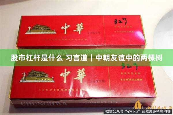 股市杠杆是什么 习言道｜中朝友谊中的两棵树
